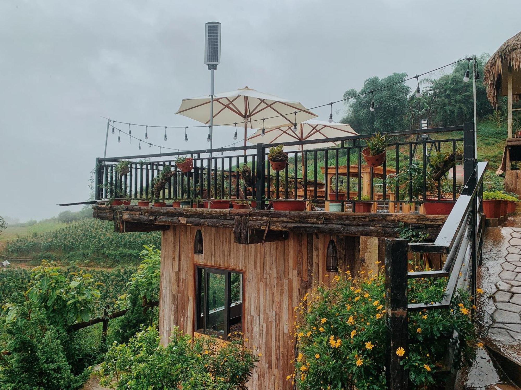 Bed and Breakfast La Rosa House Sa Pa Esterno foto
