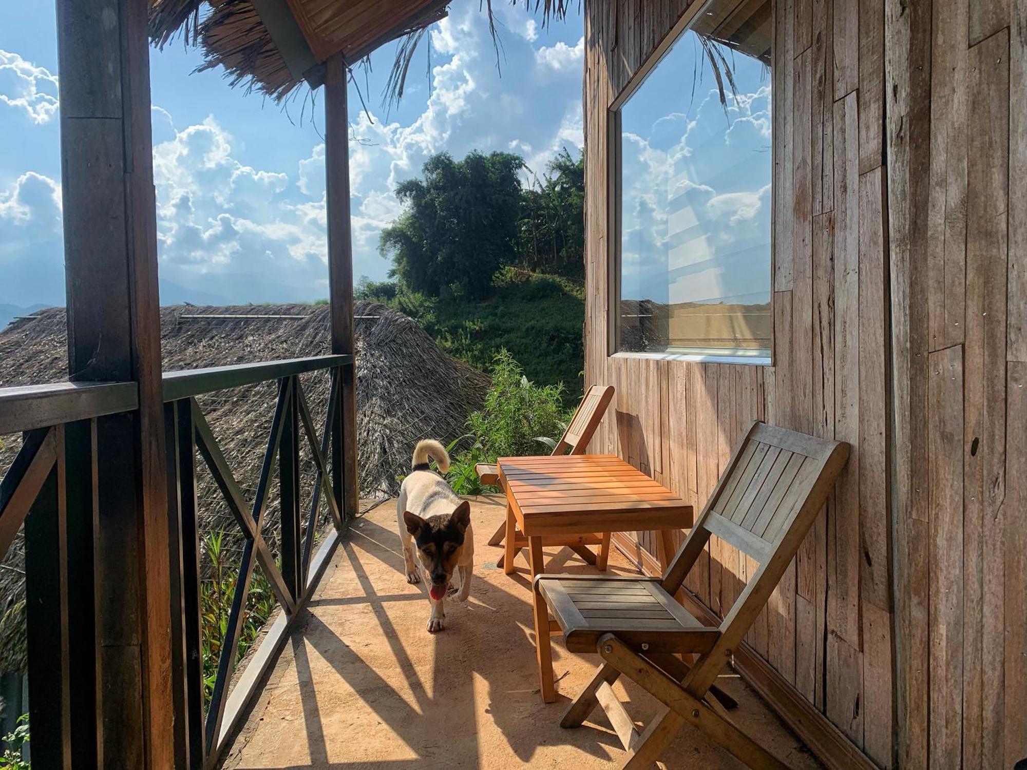 Bed and Breakfast La Rosa House Sa Pa Esterno foto